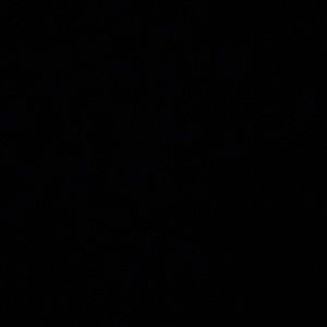 Meet your Posher, Makensie